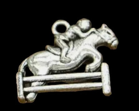 Jumping horse and rider