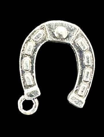 Silver horse shoe