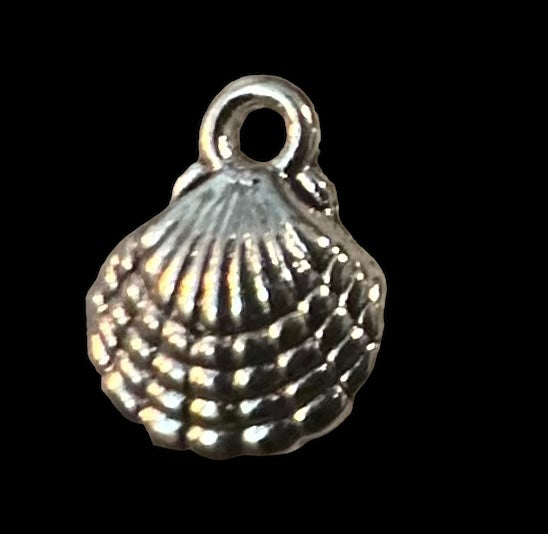 Silver shell
