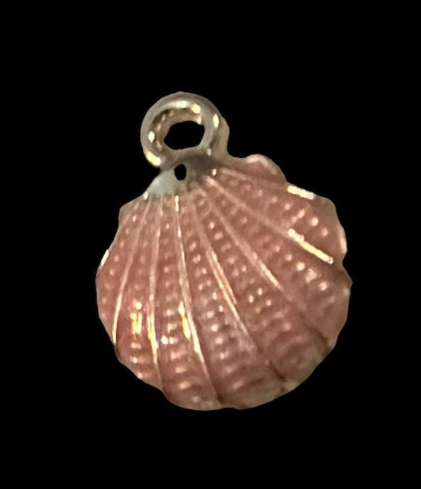 Salmon shell